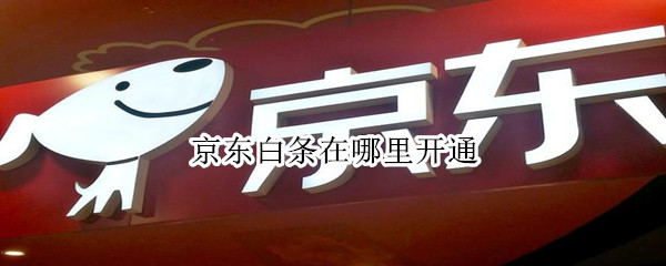 京东白条在哪里开通