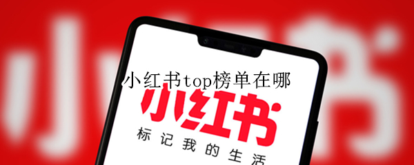 小红书top榜单在哪