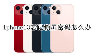 iphone13锁屏密码忘记 iphone13忘记锁屏密码怎么办
