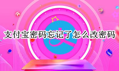支付宝支付密码忘了怎么改 支付宝密码忘记了怎么改密码