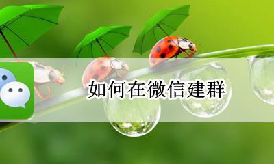 如何在微信建群 如何在微信建一个群