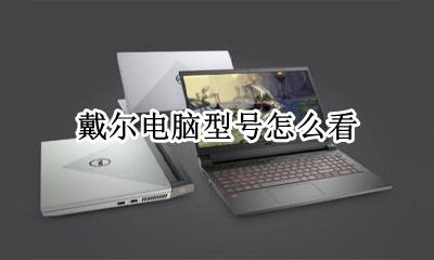 戴尔电脑型号怎么看 戴尔电脑规格型号从哪里看