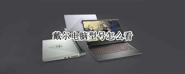 戴尔电脑型号怎么看