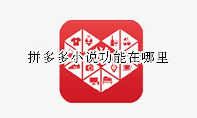 拼多多的小说 拼多多小说功能在哪里