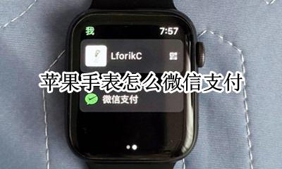 苹果手表怎么微信支付 苹果手表怎么设置微信支付