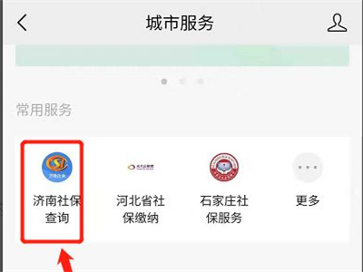 微信查社保明细怎么查