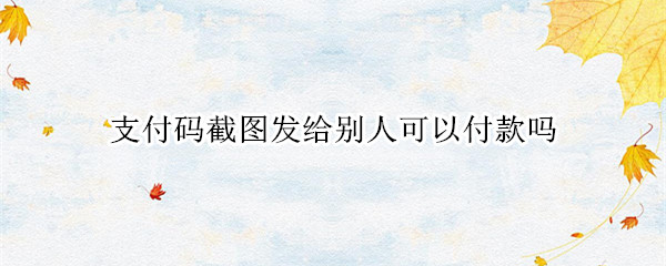 支付码截图发给别人可以付款吗