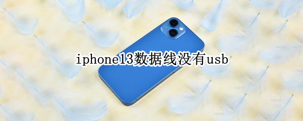 iphone13数据线没有usb