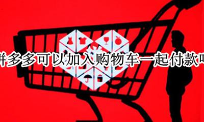 拼多多可加购物车一起购买吗 拼多多可以加入购物车一起付款吗