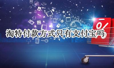 淘宝支持哪些付款方式 淘特付款方式只有支付宝吗