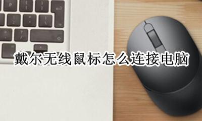 戴尔无线鼠标怎么使用 戴尔无线鼠标怎么连接电脑