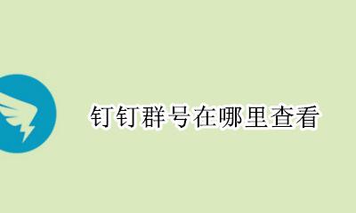 钉钉怎么查看群号 钉钉群号在哪里查看