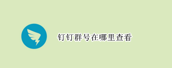 钉钉群号在哪里查看