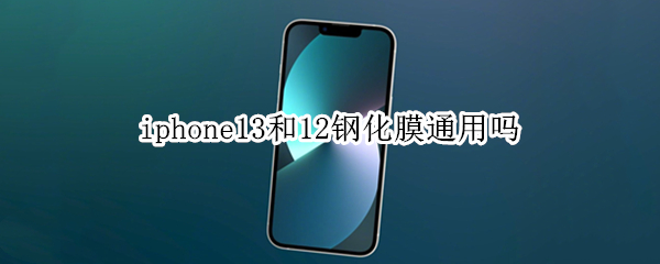 iphone13和12钢化膜通用吗