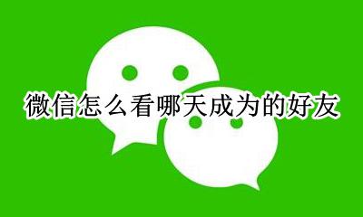 微信怎么看哪天成为的好友 如何查看微信何时成为好友的