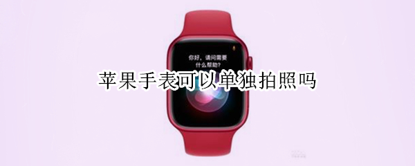 苹果手表可以单独拍照吗