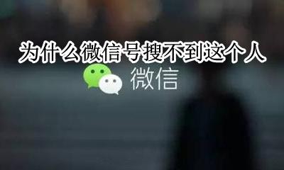 微信有这个人但搜索不到 为什么微信号搜不到这个人