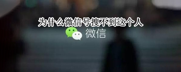 为什么微信号搜不到这个人