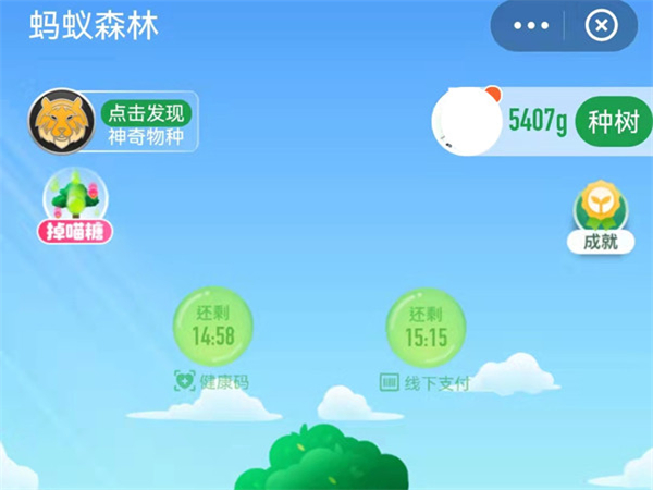 支付宝蚂蚁森林能量怎么获得
