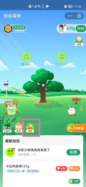 支付宝能量雨在哪里