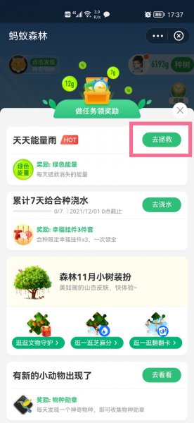支付宝能量雨在哪里