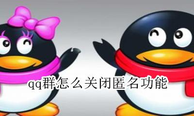 qq群怎么关闭匿名功能 qq群如何关闭匿名功能