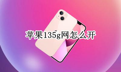 苹果135g网怎么开 苹果手机怎么开五g网