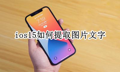 ios15如何提取图片文字 iphone15如何提取图片文字