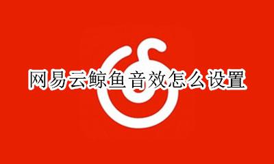 网易云鲸鱼音效怎么设置 网易云鲸鱼音效在哪