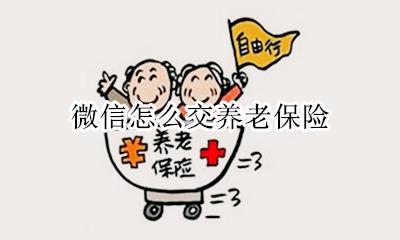 微信怎么交养老保险 支付宝怎么交养老保险