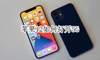 苹果12如何打开5G 苹果12怎么打开12g网络