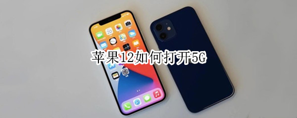 苹果12如何打开5G
