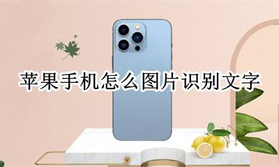 苹果手机怎么图片识别文字 苹果手机哪里可以识别图片文字