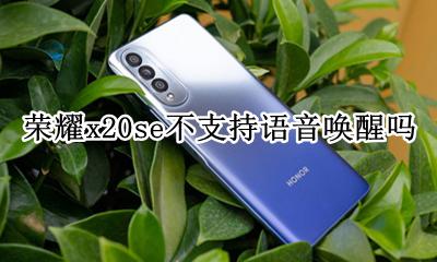 荣耀x20se不支持语音唤醒吗 vivox20pro怎么设置语音唤醒