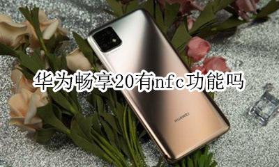 华为畅享20有nfc功能吗 华为畅享20的nfc在哪里