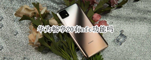 华为畅享20有nfc功能吗