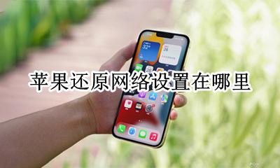 苹果还原网络设置在哪里 苹果手机在哪里还原网络设置