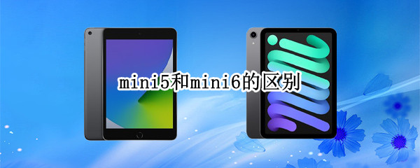 mini5和mini6的区别