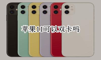 苹果11可以双卡吗 苹果11可以用双卡