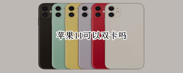 苹果11可以双卡吗