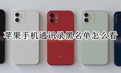 苹果手机通讯录黑名单怎么看 怎么看苹果通讯录里的黑名单