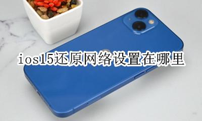 ios15还原网络设置在哪里 苹果15还原网络设置是什么意思