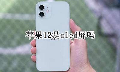 苹果12 oled 苹果12是oled屏吗