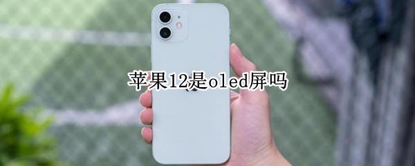 苹果12是oled屏吗