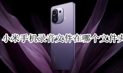 小米手机录音文件在哪个文件夹 小米手机录音在哪个文件夹里面