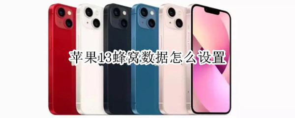 苹果13蜂窝数据怎么设置