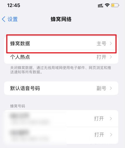 苹果13蜂窝数据怎么设置