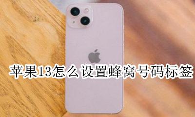 苹果蜂窝号码标签个性 苹果13怎么设置蜂窝号码标签