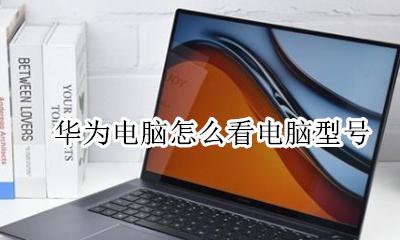 华为电脑哪里看型号 华为电脑怎么看电脑型号