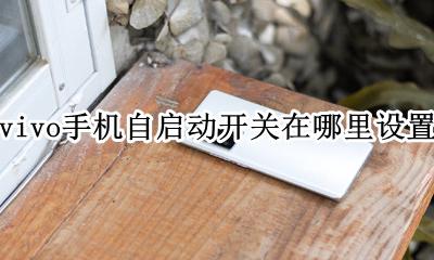 vivo手机自启动开关在哪里设置 vivo自动开关机在哪里设置方法